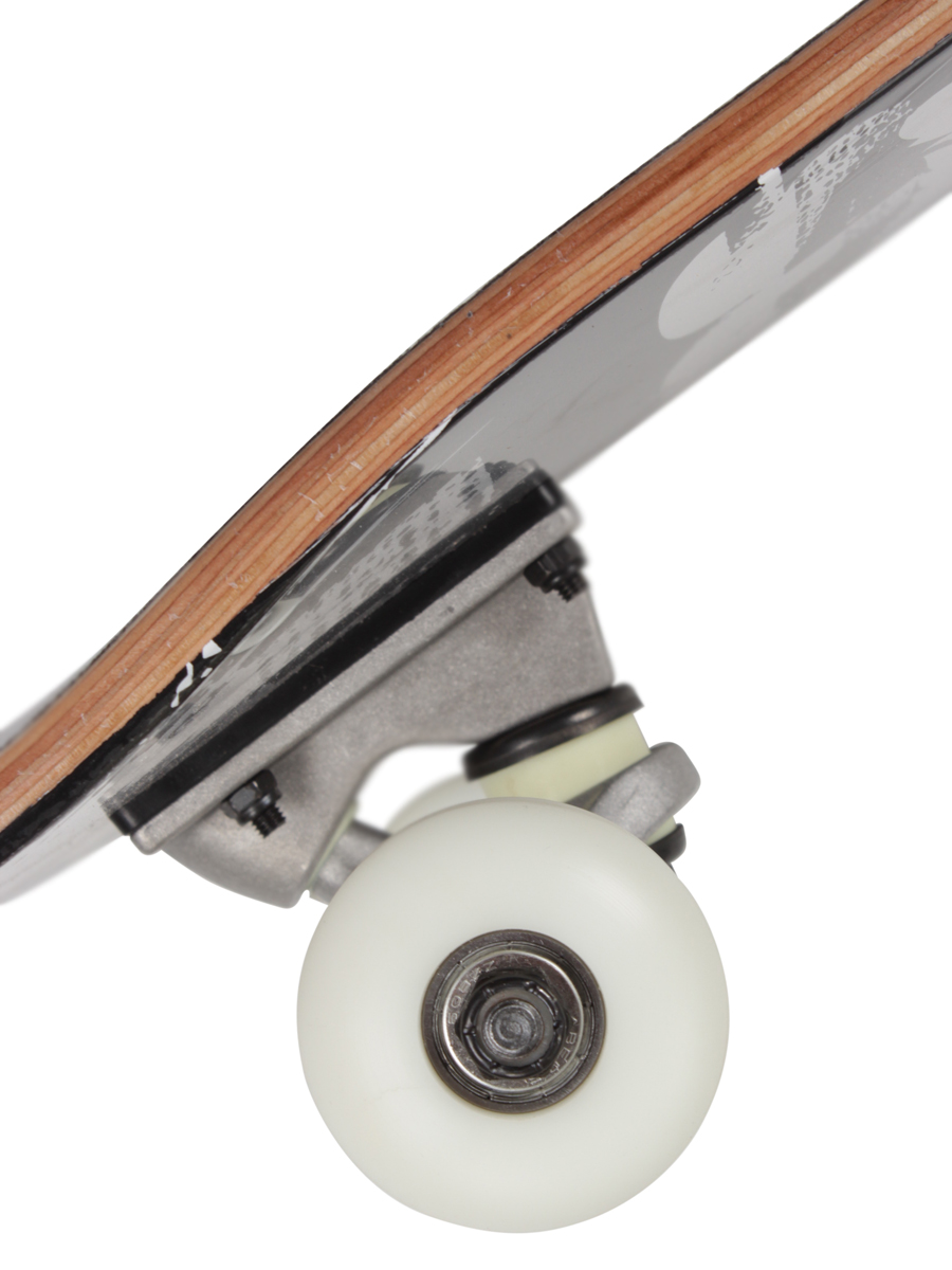 Kompletní skateboard Trans Wolf 