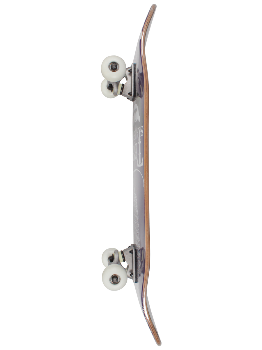 Kompletní skateboard Trans Wings 