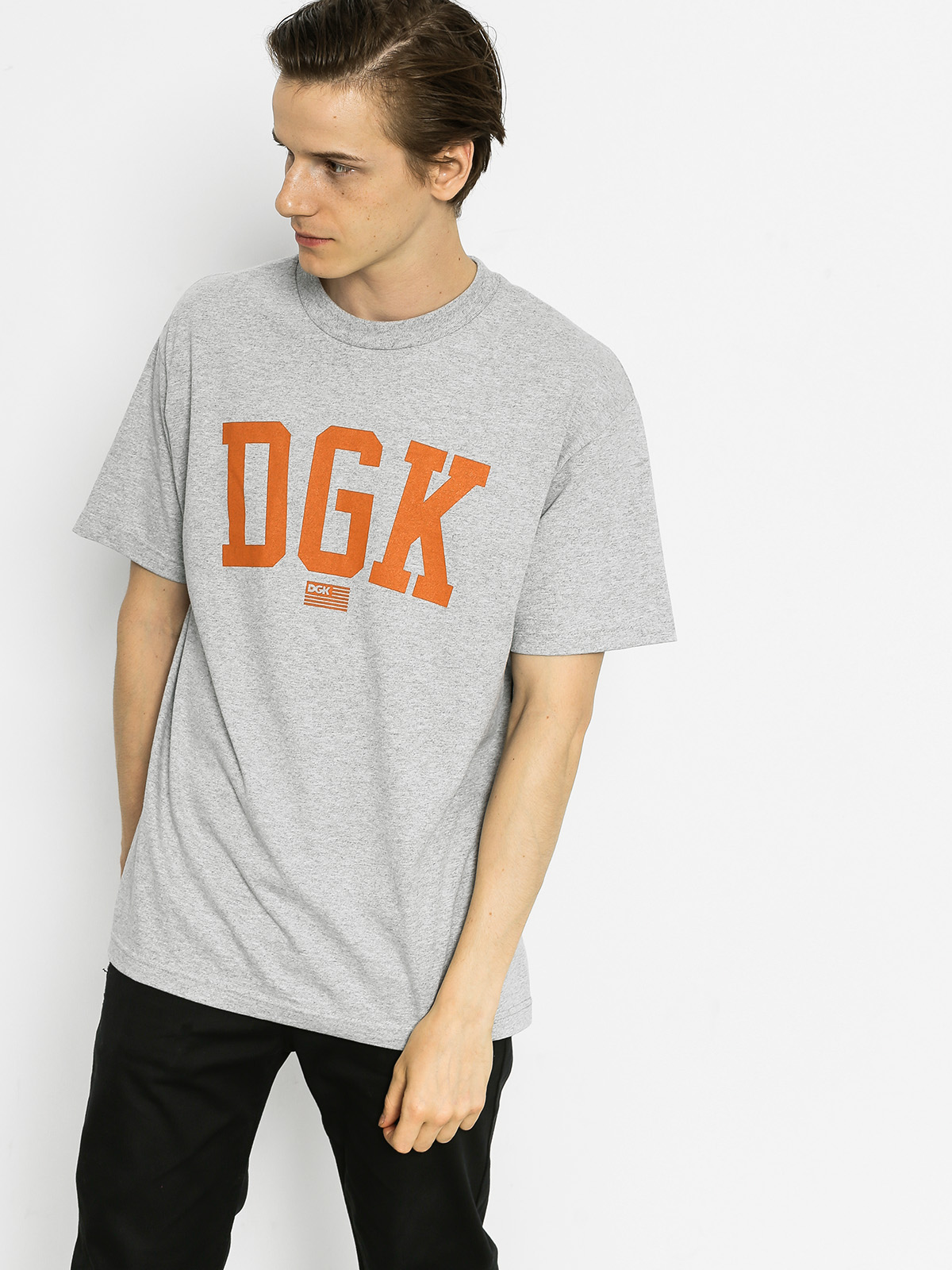 Tričko DGK Past Time (grey)