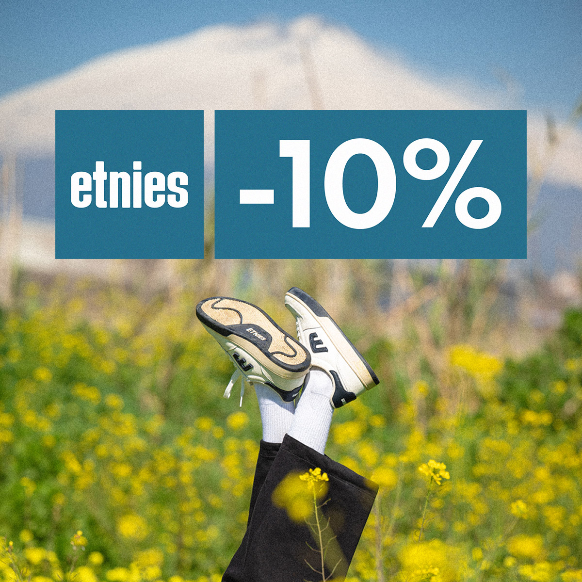 -10 % na značku Etnies! Jen do neděle!